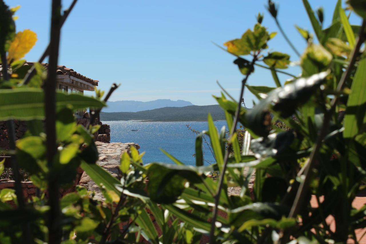 Appartamento a Porto Rotondo - VILLAGGIO PUNTA VOLPE Exterior foto