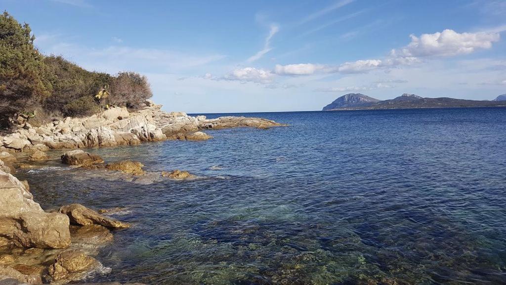 Appartamento a Porto Rotondo - VILLAGGIO PUNTA VOLPE Exterior foto