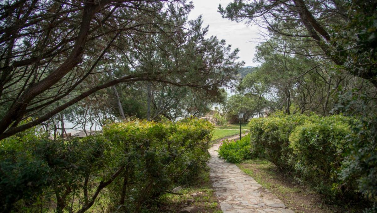 Appartamento a Porto Rotondo - VILLAGGIO PUNTA VOLPE Exterior foto