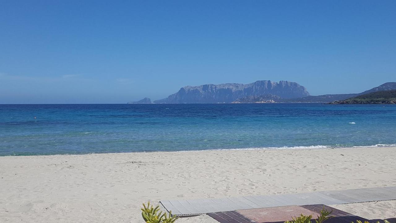 Appartamento a Porto Rotondo - VILLAGGIO PUNTA VOLPE Exterior foto