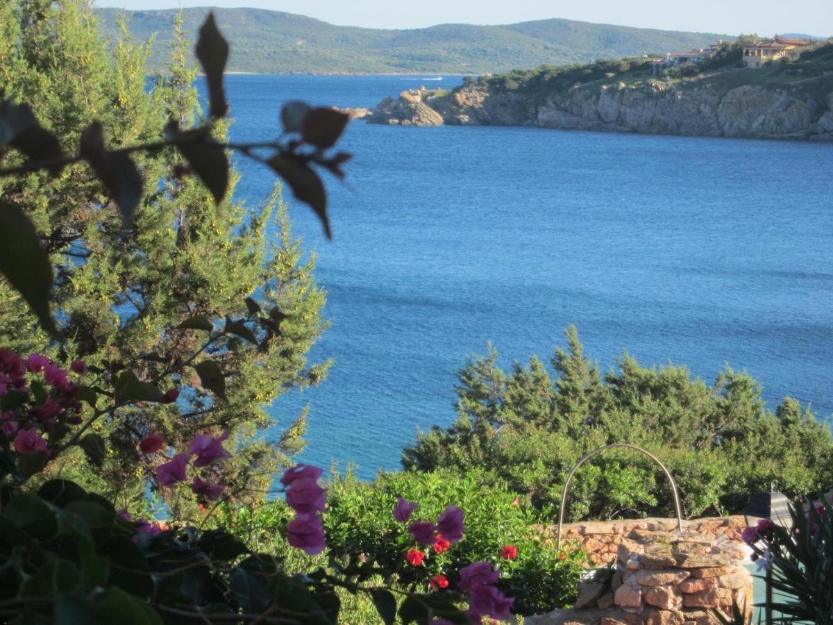 Appartamento a Porto Rotondo - VILLAGGIO PUNTA VOLPE Exterior foto