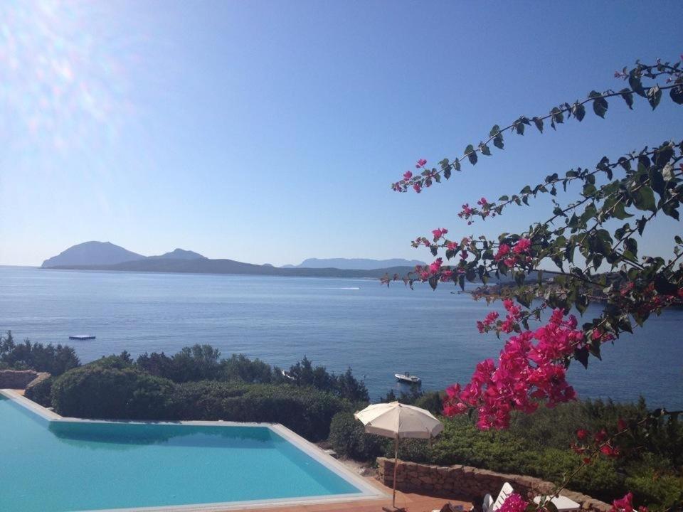 Appartamento a Porto Rotondo - VILLAGGIO PUNTA VOLPE Exterior foto