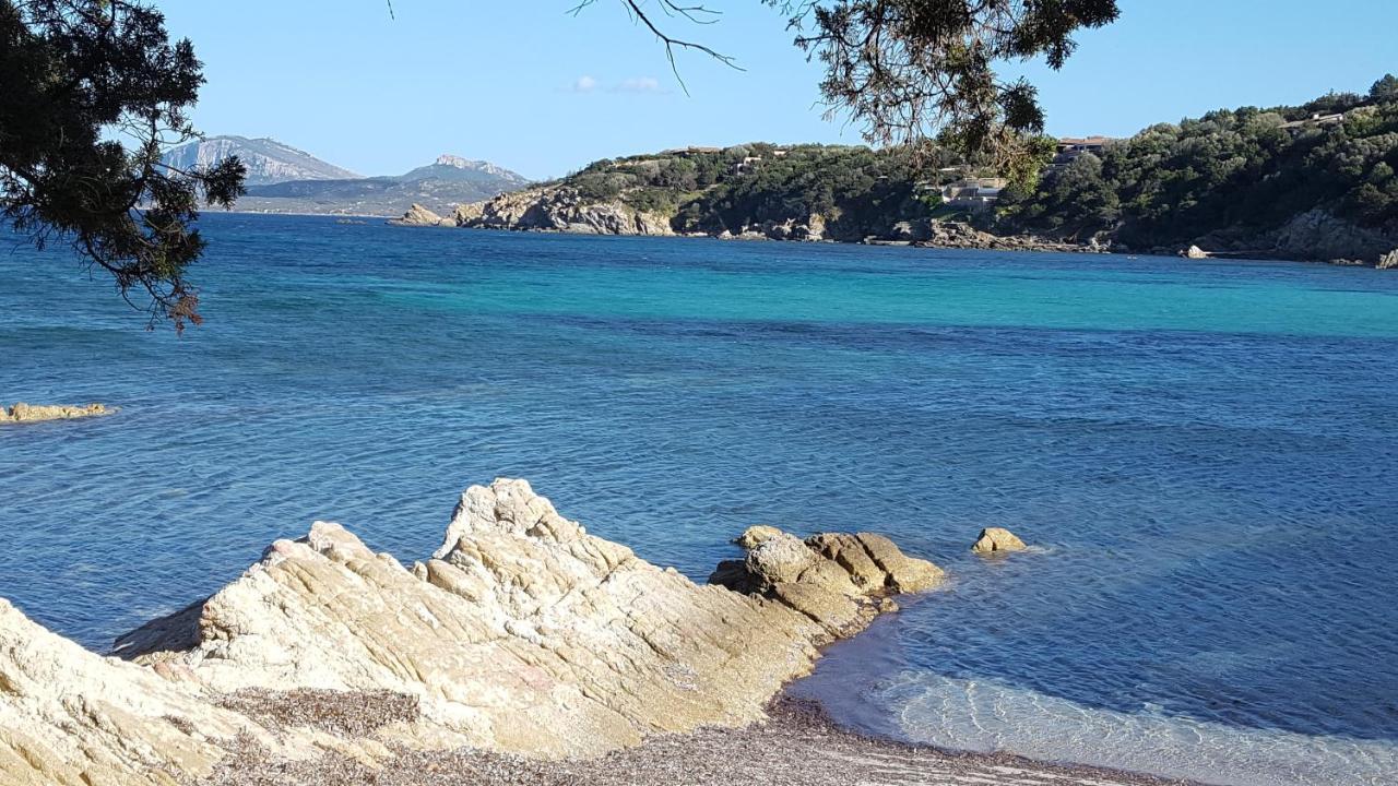 Appartamento a Porto Rotondo - VILLAGGIO PUNTA VOLPE Exterior foto